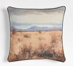 CRATE & BARREL MOJAVE 23X23 DECORATIVE PILLOWS SET OF TWO